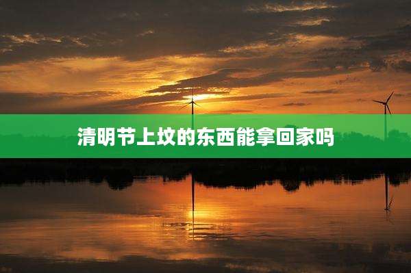 清明节上坟的东西能拿回家吗