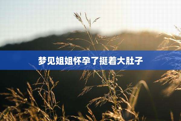 梦见姐姐怀孕了挺着大肚子