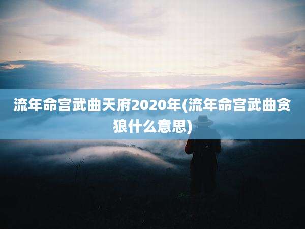 流年命宫武曲天府2020年(流年命宫武曲贪狼什么意思)
