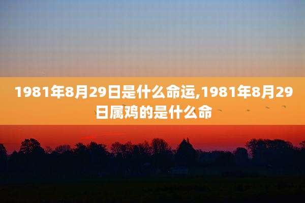 1981年8月29日是什么命运,1981年8月29日属鸡的是什么命