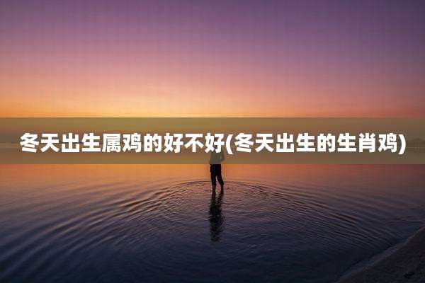 冬天出生属鸡的好不好(冬天出生的生肖鸡)