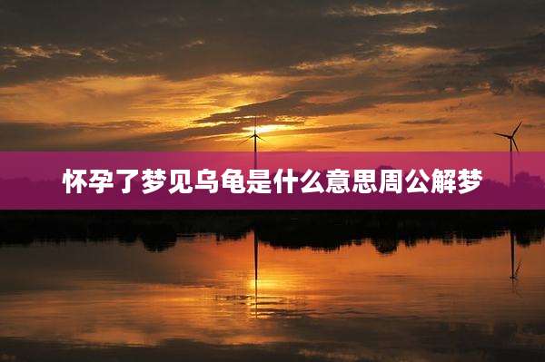 怀孕了梦见乌龟是什么意思周公解梦
