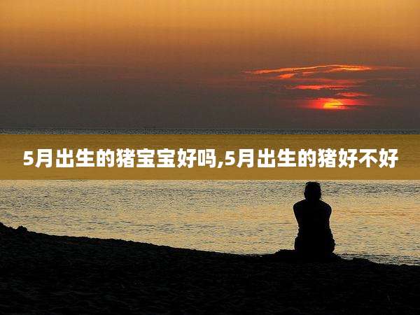 5月出生的猪宝宝好吗,5月出生的猪好不好