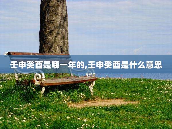 壬申癸酉是哪一年的,壬申癸酉是什么意思