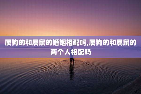 属狗的和属鼠的婚姻相配吗,属狗的和属鼠的两个人相配吗