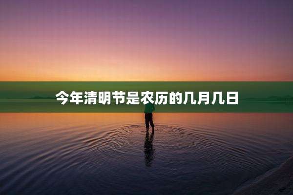 今年清明节是农历的几月几日