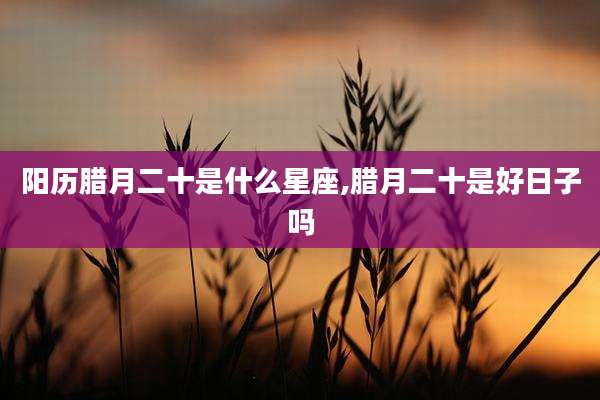 阳历腊月二十是什么星座,腊月二十是好日子吗