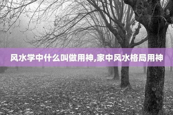 风水学中什么叫做用神,家中风水格局用神
