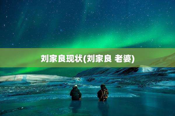 刘家良现状(刘家良 老婆)