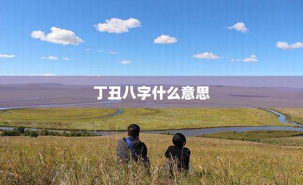 丁丑八字什么意思