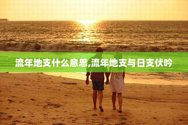流年地支什么意思,流年地支与日支伏吟