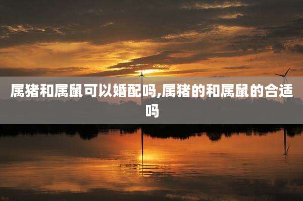 属猪和属鼠可以婚配吗,属猪的和属鼠的合适吗