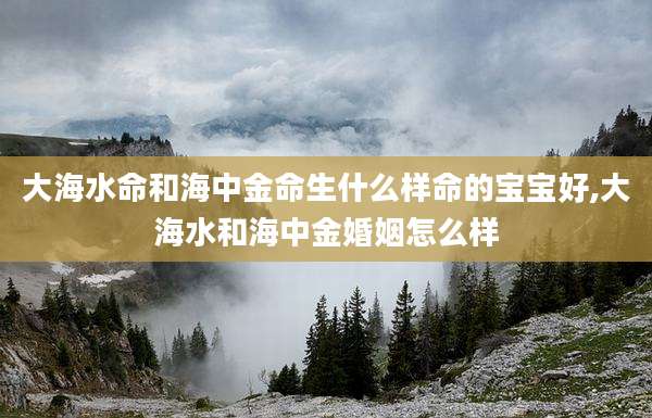 大海水命和海中金命生什么样命的宝宝好,大海水和海中金婚姻怎么样