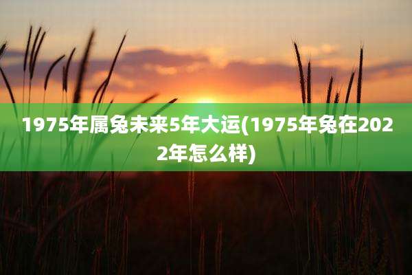 1975年属兔未来5年大运(1975年兔在2022年怎么样)
