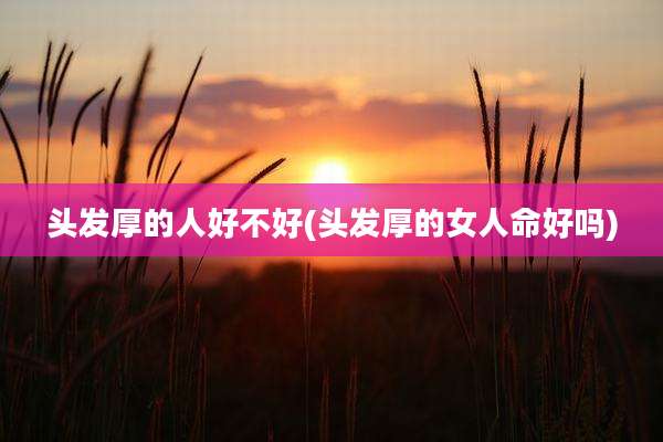 头发厚的人好不好(头发厚的女人命好吗)