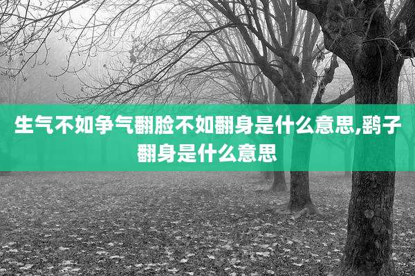生气不如争气翻脸不如翻身是什么意思,鹞子翻身是什么意思
