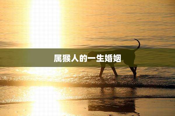 属猴人的一生婚姻