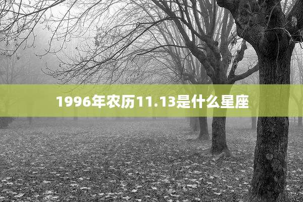 1996年农历11.13是什么星座