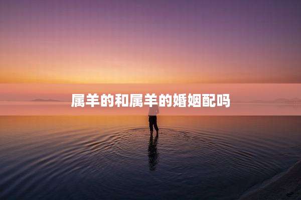 属羊的和属羊的婚姻配吗