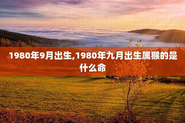 1980年9月出生,1980年九月出生属猴的是什么命