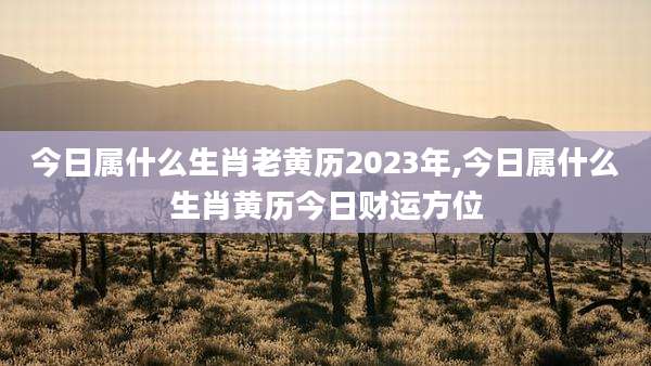 今日属什么生肖老黄历2023年,今日属什么生肖黄历今日财运方位
