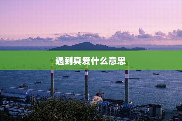 遇到真爱什么意思