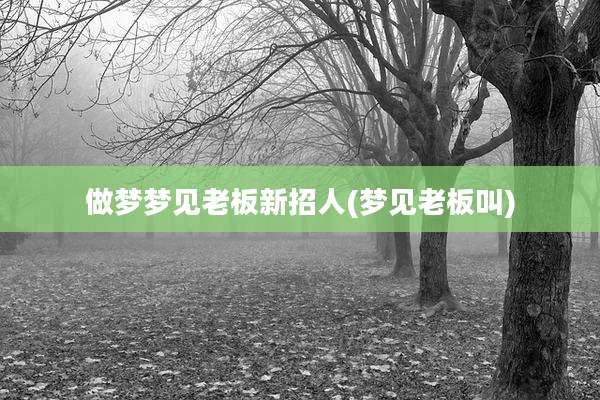 做梦梦见老板新招人(梦见老板叫)