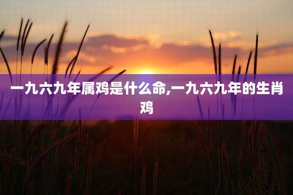 一九六九年属鸡是什么命,一九六九年的生肖鸡
