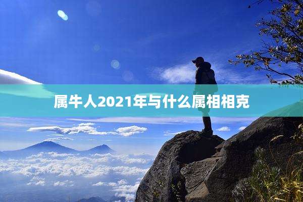 属牛人2021年与什么属相相克