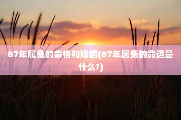87年属兔的命格和婚姻(87年属兔的命运是什么?)