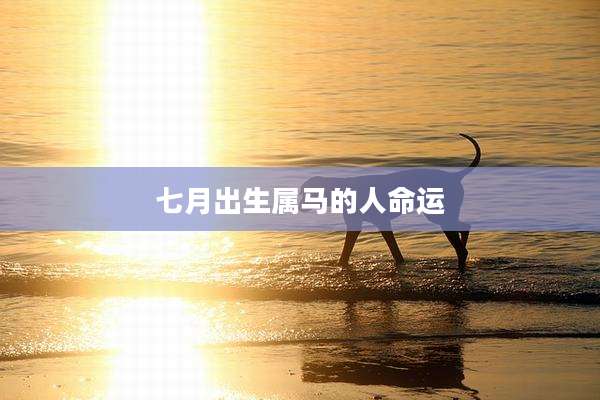 七月出生属马的人命运