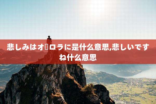 悲しみはオーロラに是什么意思,悲しいですね什么意思