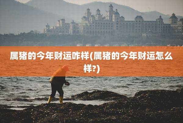 属猪的今年财运咋样(属猪的今年财运怎么样?)