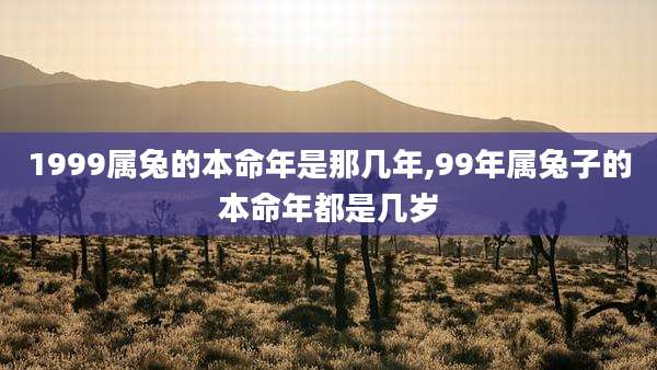 1999属兔的本命年是那几年,99年属兔子的本命年都是几岁