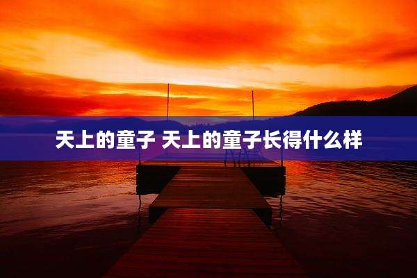 天上的童子 天上的童子长得什么样
