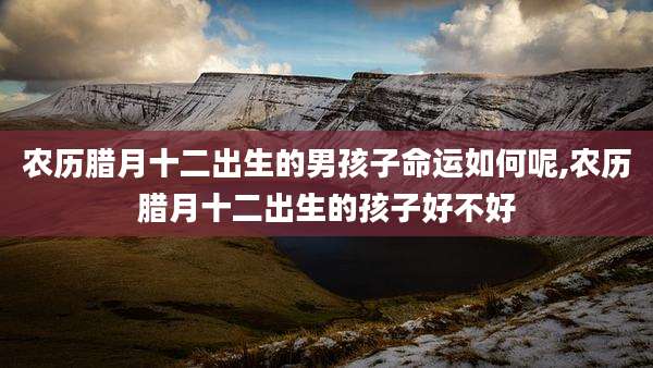 农历腊月十二出生的男孩子命运如何呢,农历腊月十二出生的孩子好不好