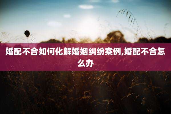 婚配不合如何化解婚姻纠纷案例,婚配不合怎么办
