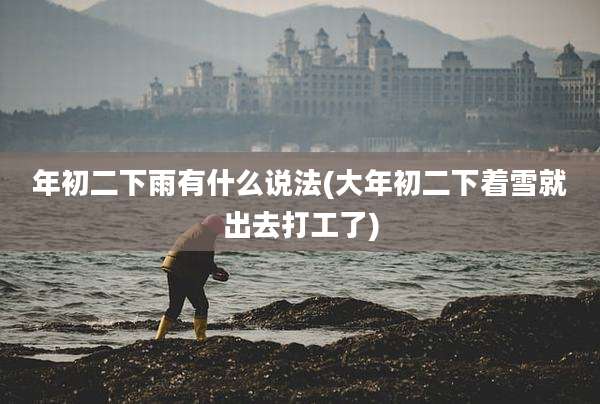 年初二下雨有什么说法(大年初二下着雪就出去打工了)