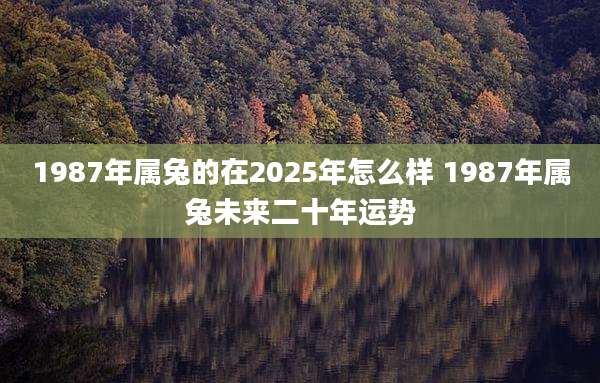 1987年属兔的在2025年怎么样 1987年属兔未来二十年运势