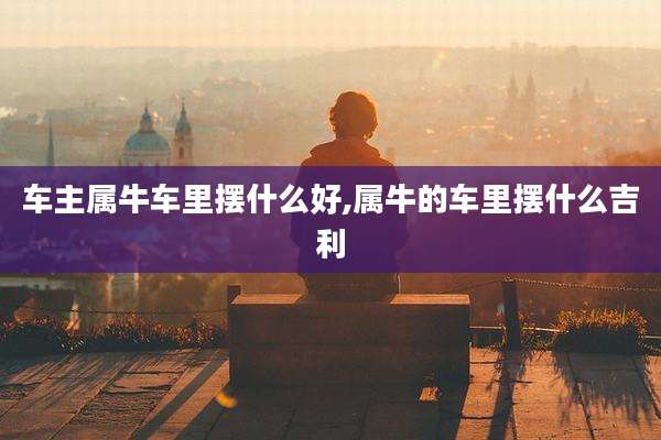 车主属牛车里摆什么好,属牛的车里摆什么吉利