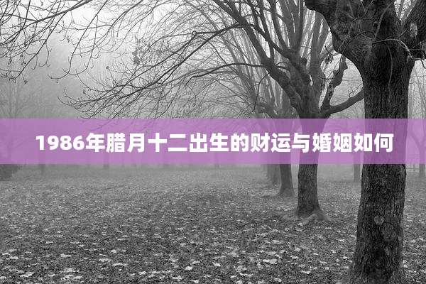 1986年腊月十二出生的财运与婚姻如何