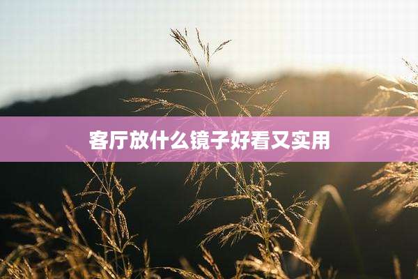 客厅放什么镜子好看又实用