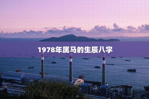 1978年属马的生辰八字