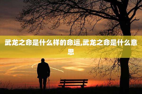 武龙之命是什么样的命运,武龙之命是什么意思