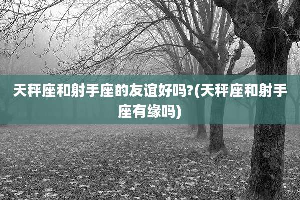 天秤座和射手座的友谊好吗?(天秤座和射手座有缘吗)