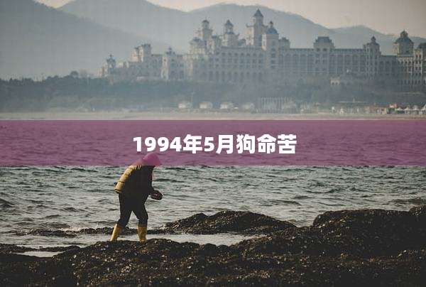 1994年5月狗命苦