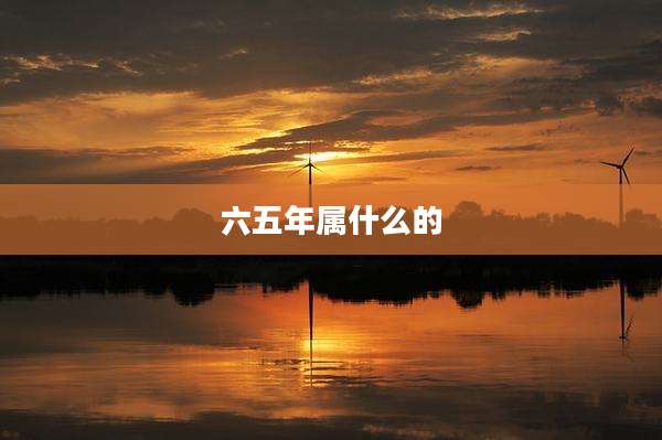 六五年属什么的