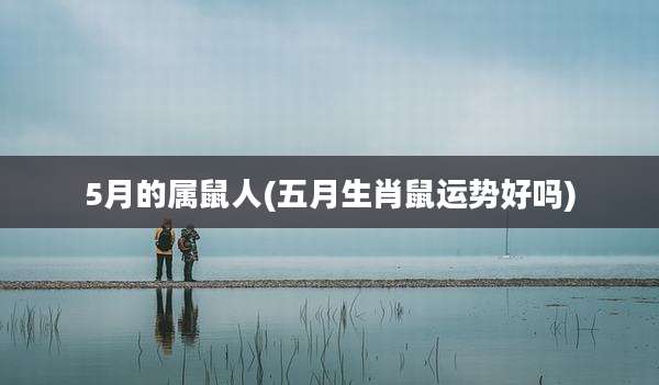 5月的属鼠人(五月生肖鼠运势好吗)