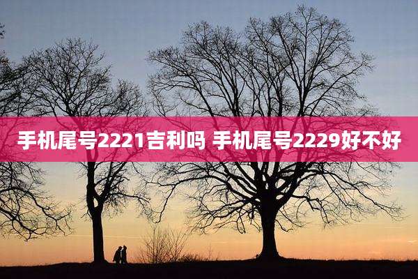 手机尾号2221吉利吗 手机尾号2229好不好