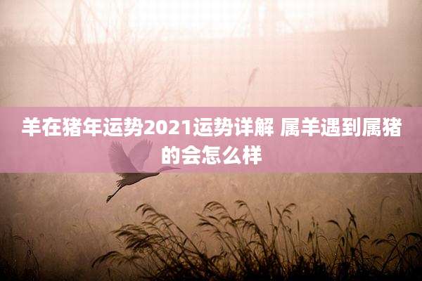 羊在猪年运势2021运势详解 属羊遇到属猪的会怎么样